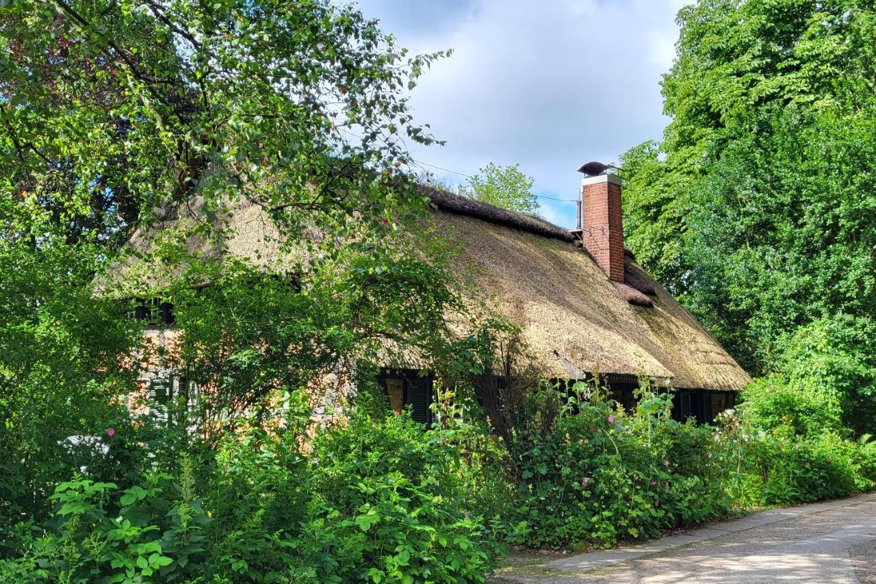 Fockbek Haus Swanhildヴィラ エクステリア 写真